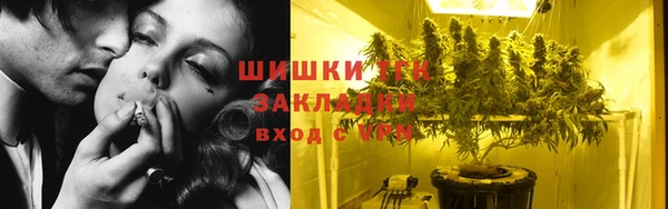 стафф Струнино