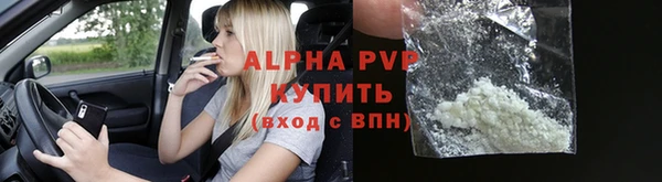 мяу мяу кристалл Богданович