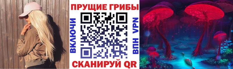Псилоцибиновые грибы Cubensis  где можно купить наркотик  мориарти клад  Котельниково  мега как зайти 