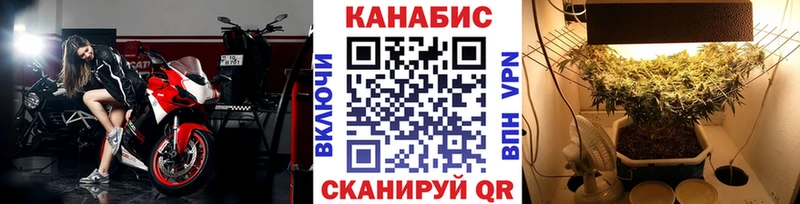 Бошки Шишки планчик  Котельниково 